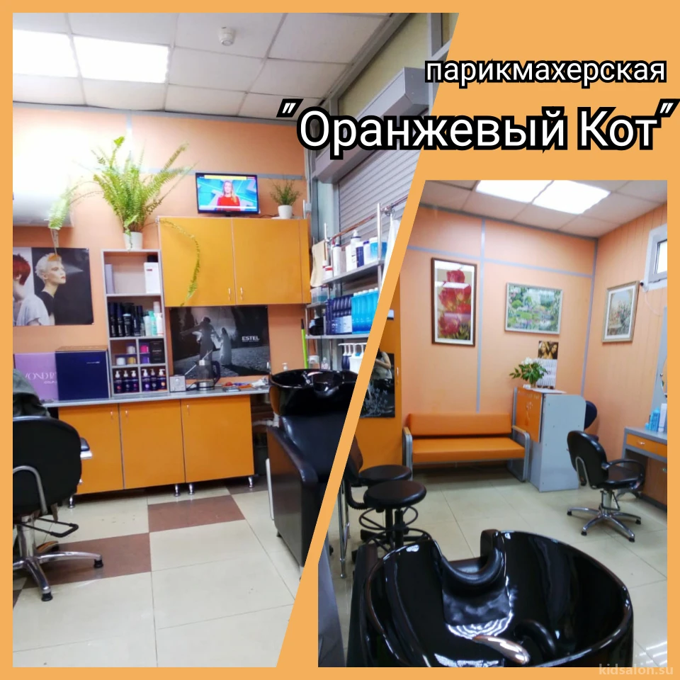 Парикмахерская Оранжевый Кот - Адрес, телефон, время работы на Kidsalon.su